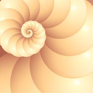 Abstract vector seashell background