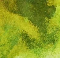 Olive textured background watercolor