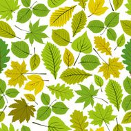 Beautiful leaves seamless pattern vector natural background N3