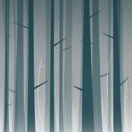 Forest N85