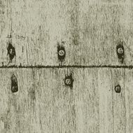 Old wood texture with nails