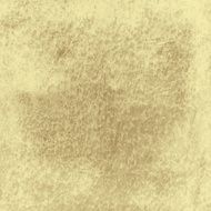 Tan Leather Texture