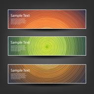 Set of Colorful Bright Horizontal Headers and Banners N8
