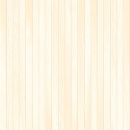 Vector wood plank N3