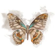 Watercolor Butterfly N6