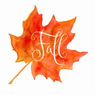 Watercolor maple leaf and Fall word N3