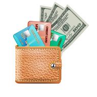 Leather wallet with credit cards dollars USA