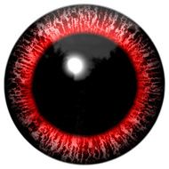 Red bloody alien or bird eye