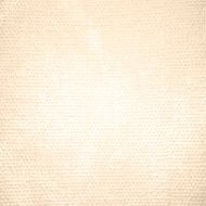 Canvas texture N9