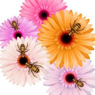 Working bees on flowers