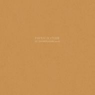 Vector cardboard paper texture