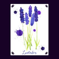 Vector greeting card with watercolor lavender N3