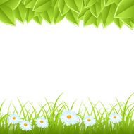 template with leaves and grass