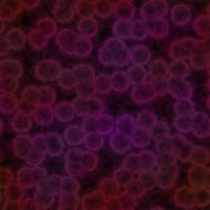 Seamless bacteria texture