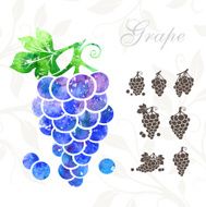 Grape set Watercolor with icons set N2