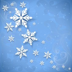 Vector christmas or new year invitation card N2