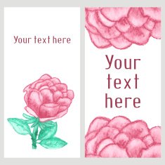 Vector watercolor business banner with roses N2