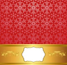 Christmas decoration frame N183