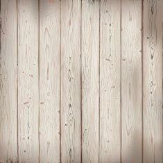 Wooden texture N21