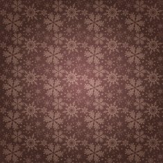 Christmas decoration frame N225