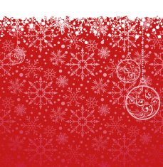 Christmas decoration frame N253