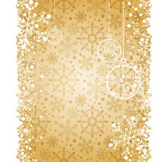 Christmas decoration frame N254