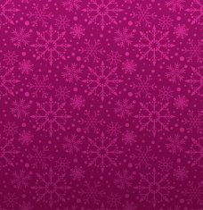 Christmas decoration frame N264
