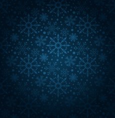 Christmas decoration frame N313