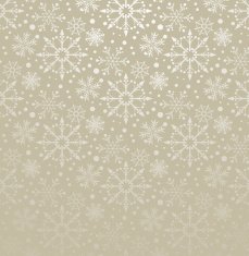 Christmas decoration frame N319