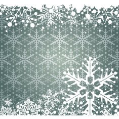 Christmas decoration frame N373