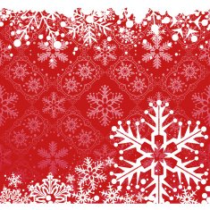 Christmas decoration frame N396