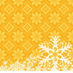 Christmas decoration frame N564