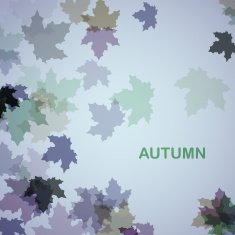 Autumn seasonal background N6