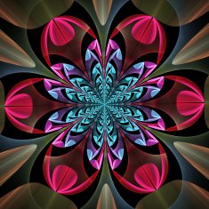 Fabulous symmetrical pattern of the leaves N4