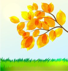 Vector landscape with Autumn leaves