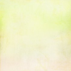 Grunge vector background N45