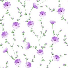 Chicory pattern
