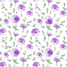 Chicory pattern N2
