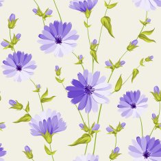 Chicory pattern N3