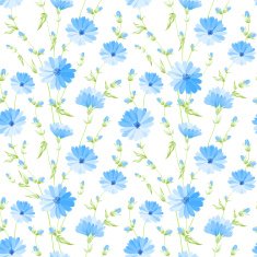 Chicory seamless pattern