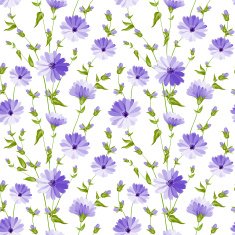 Chicory pattern N4