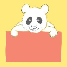 Cute Panda N8