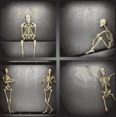 vector skeleton on the wall collection