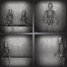 vector skeleton on the wall collection N2