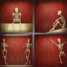 vector skeleton on the wall collection N3