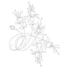 floral design vector outline black contour on white background N2
