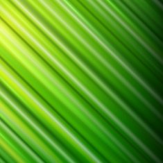 Abstract green background N56