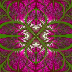 Symmetrical pattern of the leaves in green and pink Collection
