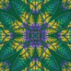 Multicolor symmetric pattern of the leaves N2