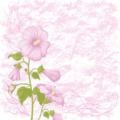 Holiday background with mallow flowers N2
